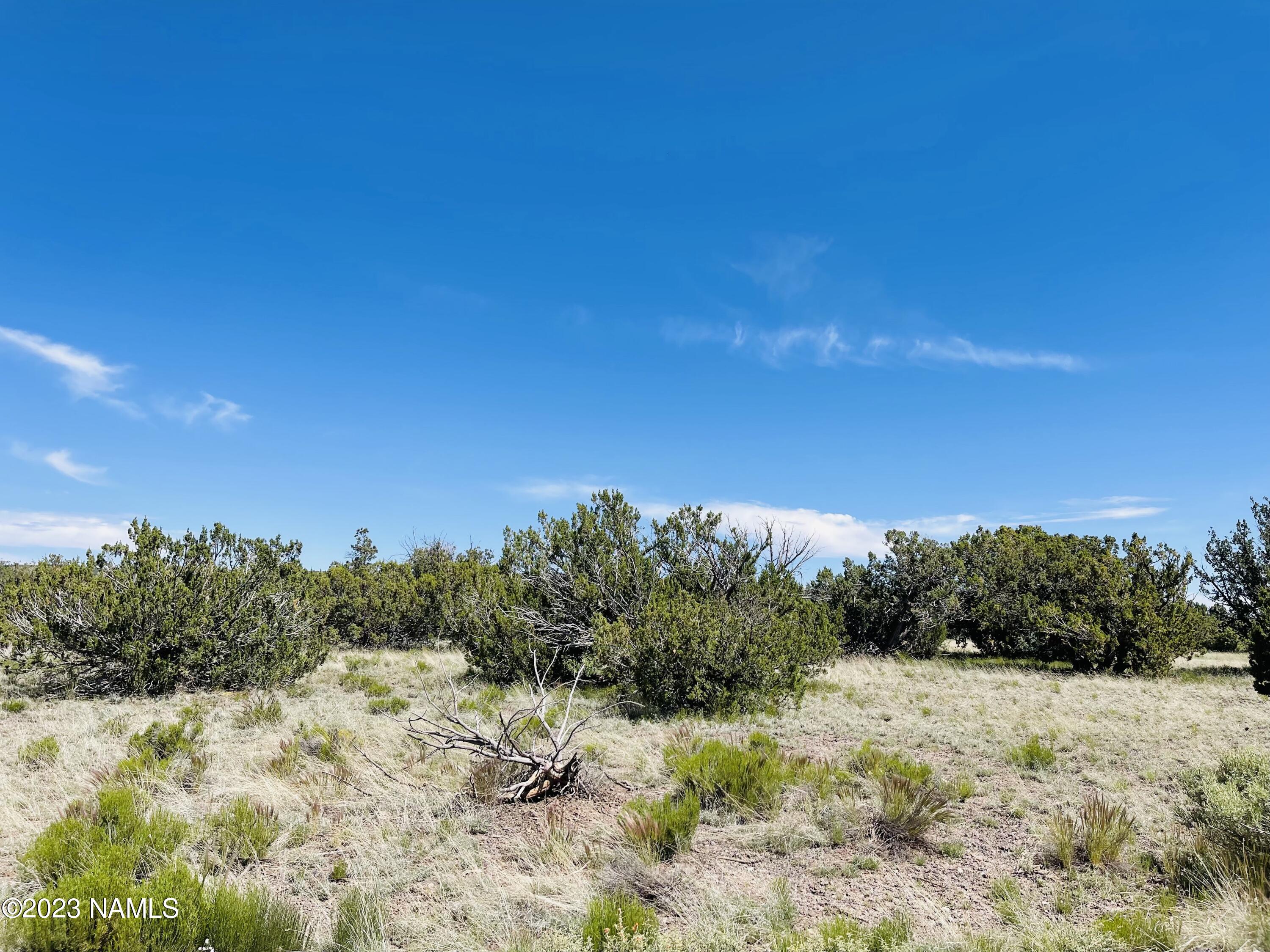 2074 W Critter Pass