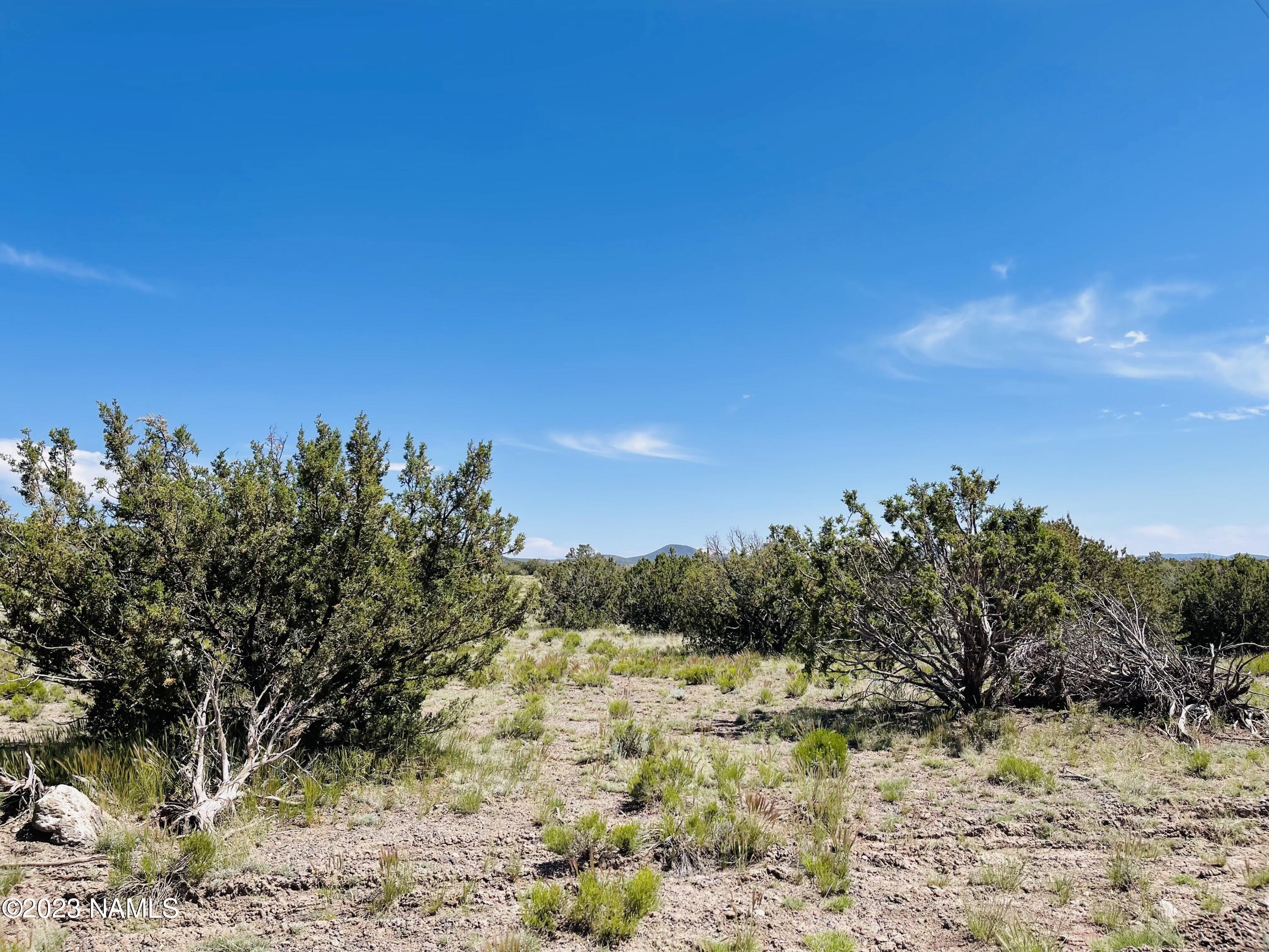 2074 W Critter Pass