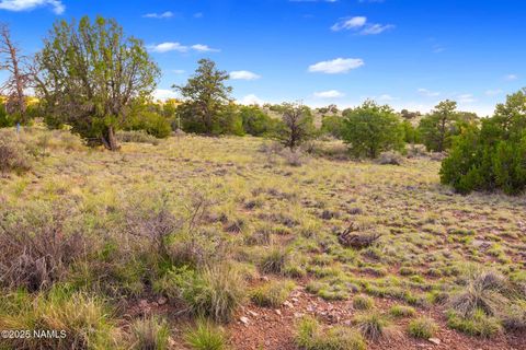Photo of Williams, AZ 86046 (MLS # 200644)