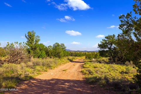Photo of Williams, AZ 86046 (MLS # 200644)