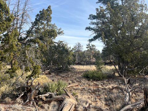 Photo of Williams, AZ 86046 (MLS # 203042)