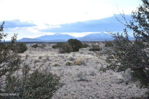 Featured picture for the property 203389