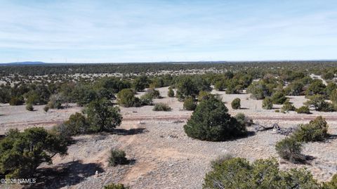 Photo of Williams, AZ 86046 (MLS # 203428)