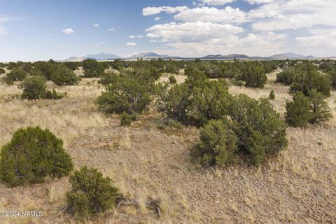 Photo of Williams, AZ 86046 (MLS # 200056)