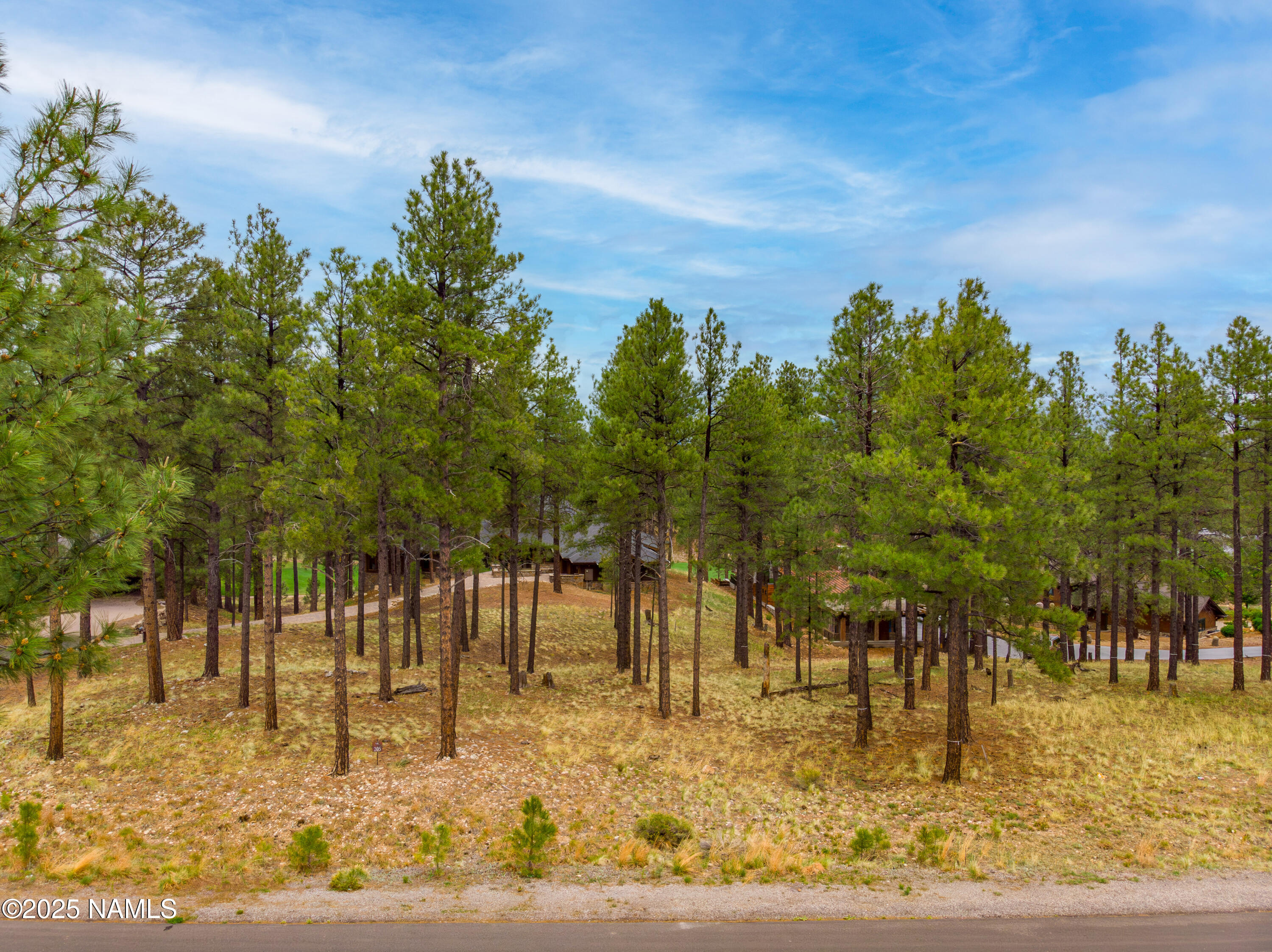 2442 E Del Rae Drive 205