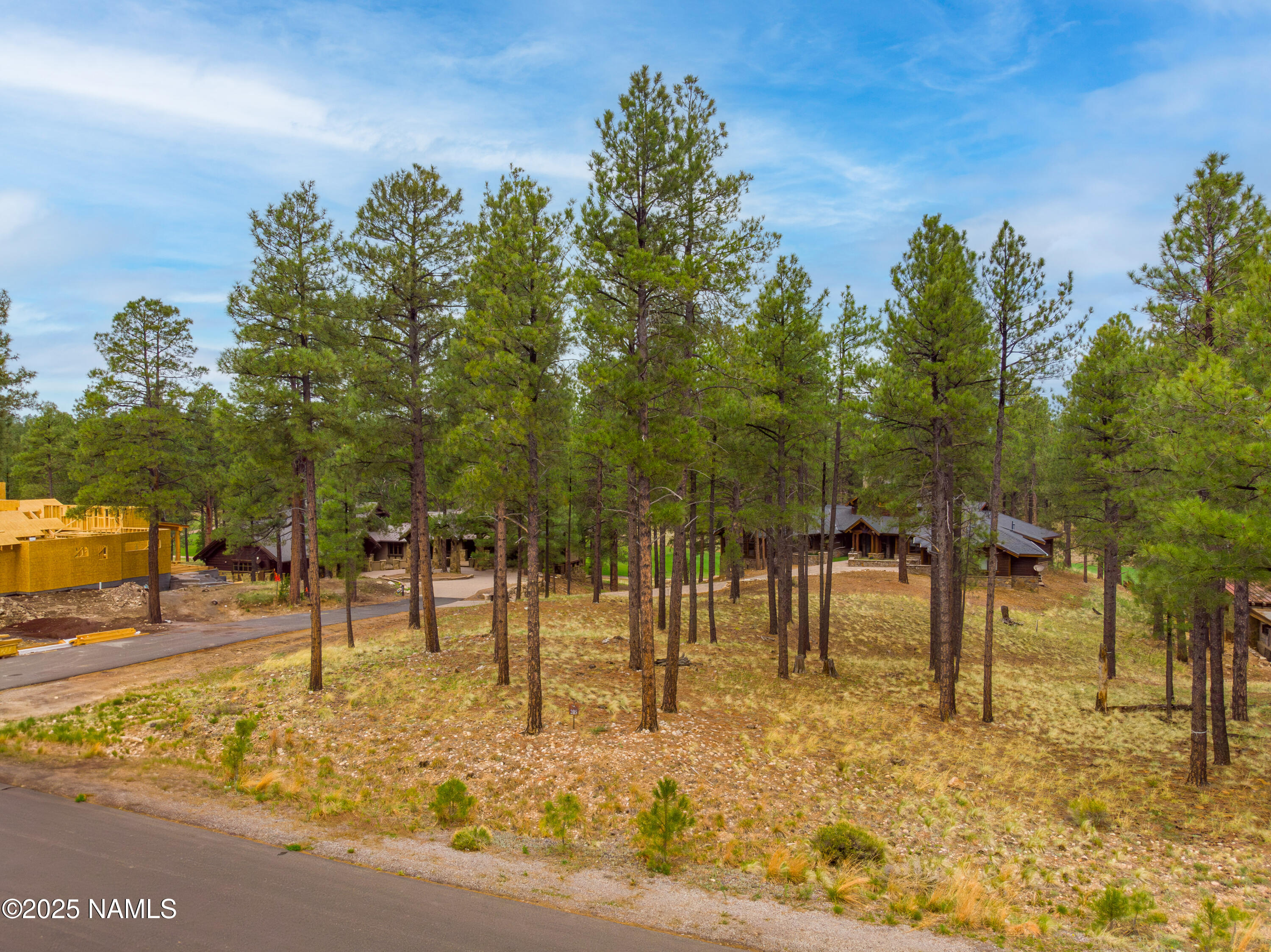 2442 E Del Rae Drive 205