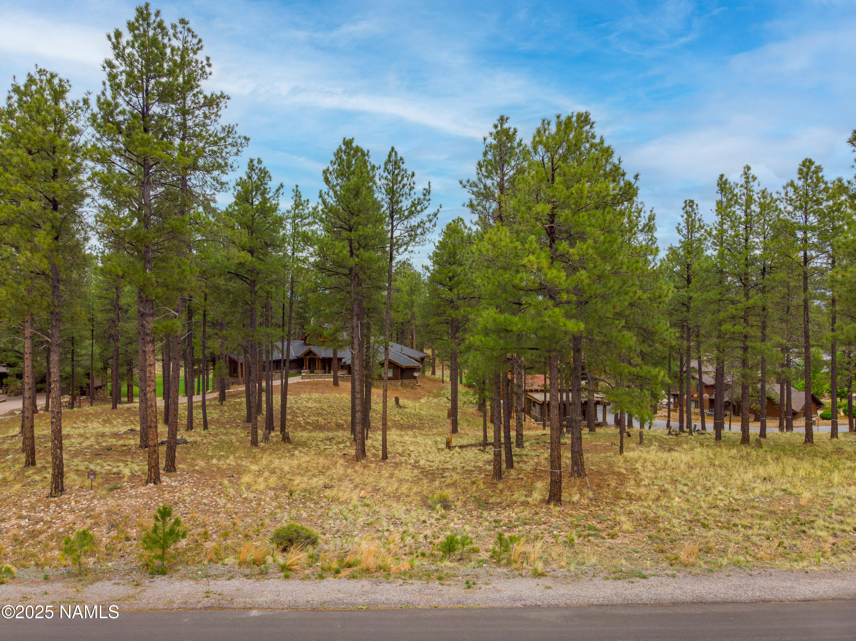 2442 E Del Rae Drive 205