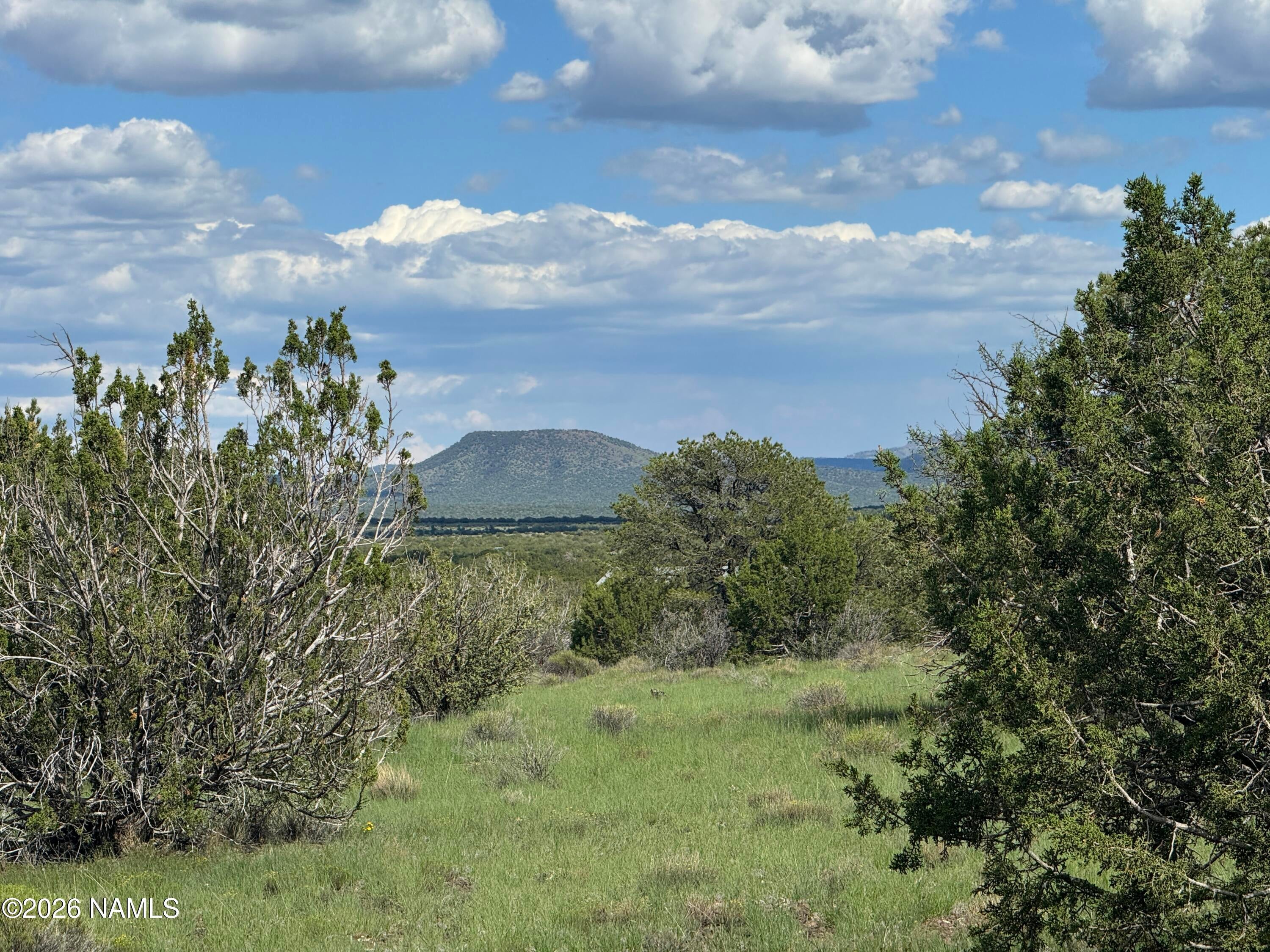 14556 Howard Mesa Loop