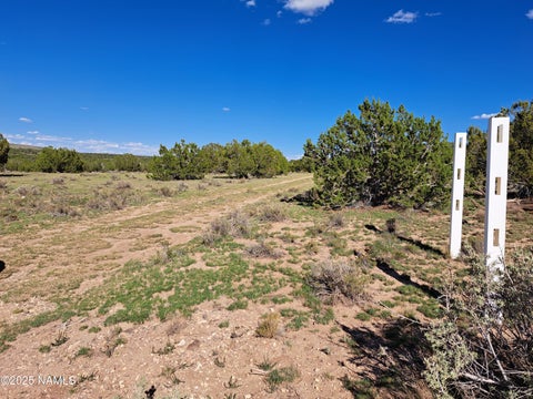 Featured picture for the property 201701