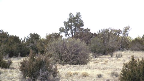 Photo of Williams, AZ 86046 (MLS # 201421)
