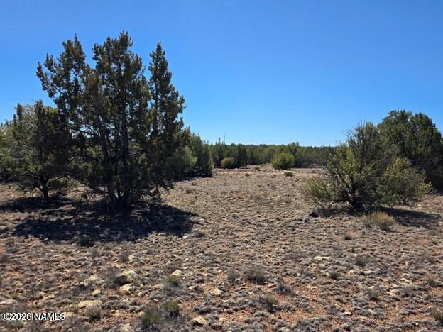 8001 W Clear Fork Loop