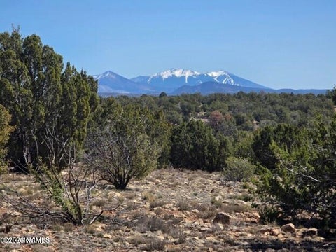 Photo of Williams, AZ 86046 (MLS # 206117)