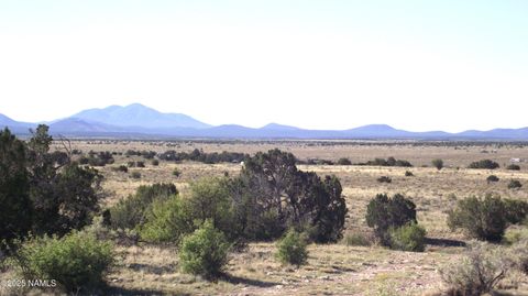 Photo of Williams, AZ 86046 (MLS # 202147)