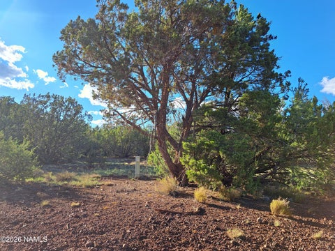 Photo of Williams, AZ 86046 (MLS # 205954)