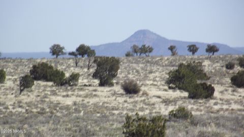 Photo of Williams, AZ 86046 (MLS # 201416)