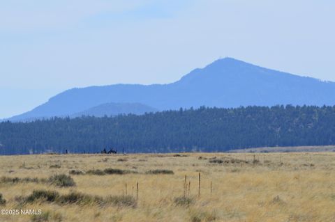Photo of Parks, AZ 86018 (MLS # 200822)