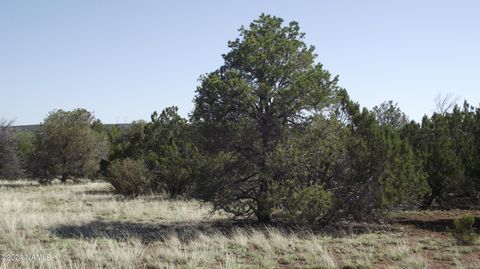 Photo of Williams, AZ 86046 (MLS # 197254)