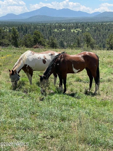 Photo of Williams, AZ 86046 (MLS # 204167)