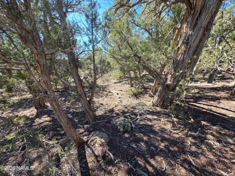 Parcel #205-33-005 Williams AZ 86046