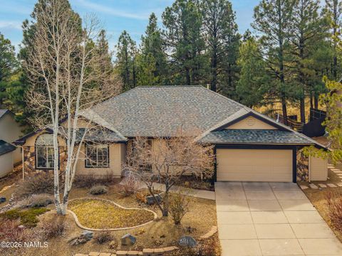 6161 E Olson Drive Flagstaff AZ 86004