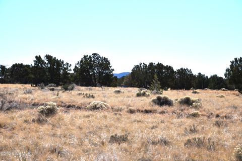 Photo of Williams, AZ 86046 (MLS # 203305)