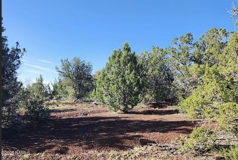 Photo of Williams, AZ 86046 (MLS # 202389)
