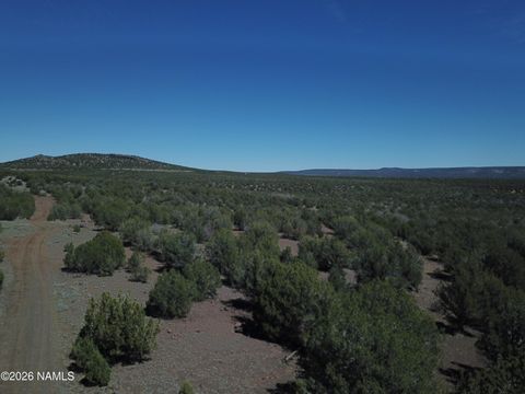 Photo of Williams, AZ 86046 (MLS # 203873)