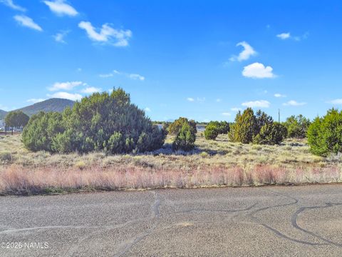 Photo of Williams, AZ 86046 (MLS # 203479)