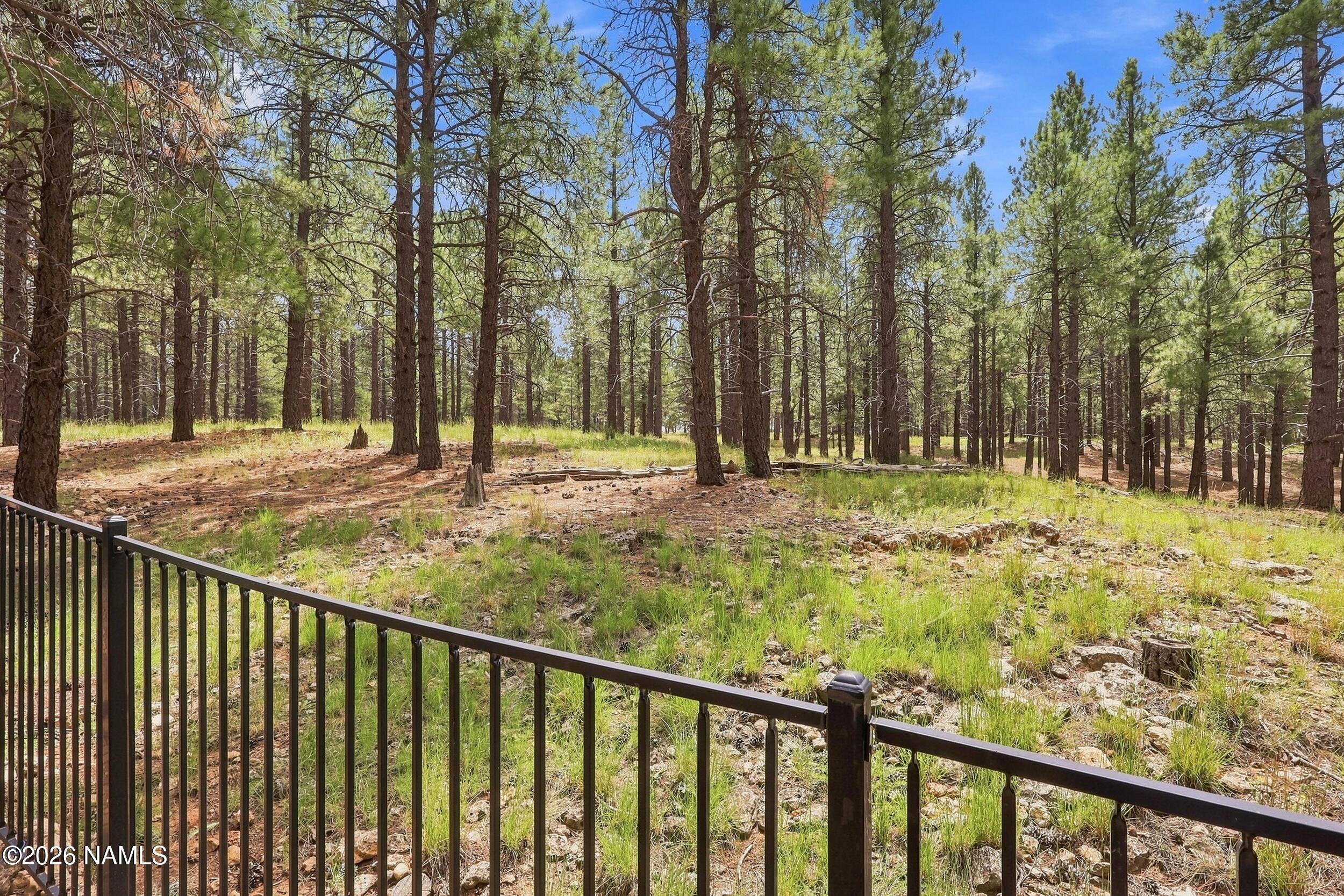 347 W Wulfenite Road