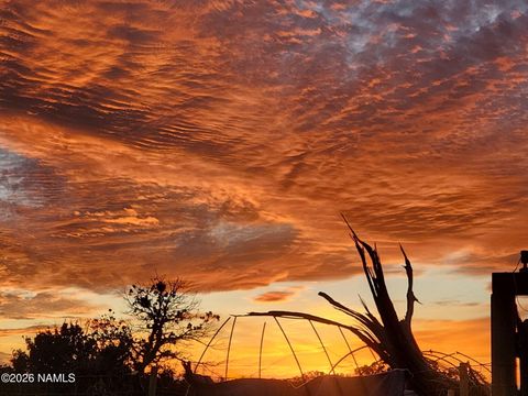 Photo of Williams, AZ 86046 (MLS # 203597)