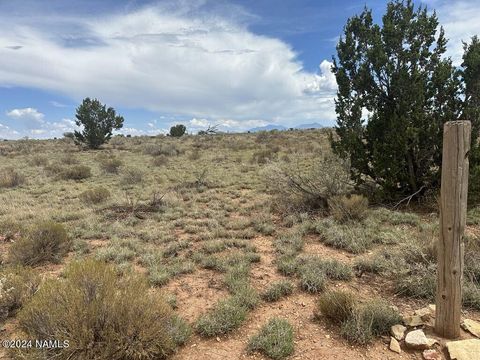 Photo of Williams, AZ 86046 (MLS # 203960)