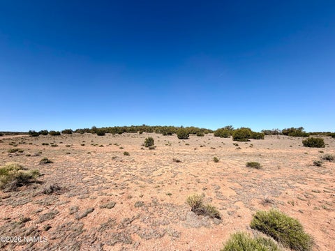 Photo of Williams, AZ 86046 (MLS # 204405)