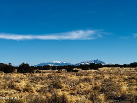 Photo of Williams, AZ 86046 (MLS # 203800)