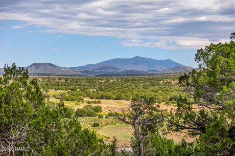 Photo of Williams, AZ 86046 (MLS # 205994)