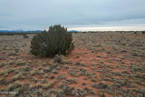 Photo of Williams, AZ 86046 (MLS # 206087)