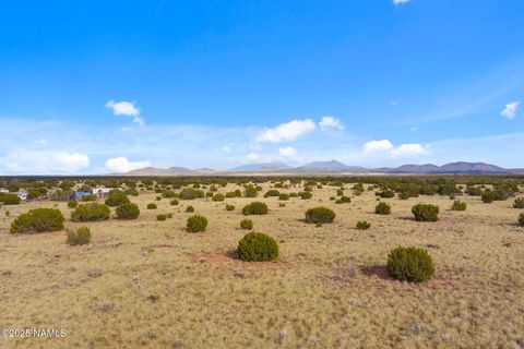 Photo of Williams, AZ 86046 (MLS # 201106)