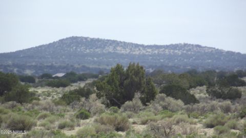 Photo of Williams, AZ 86046 (MLS # 203506)