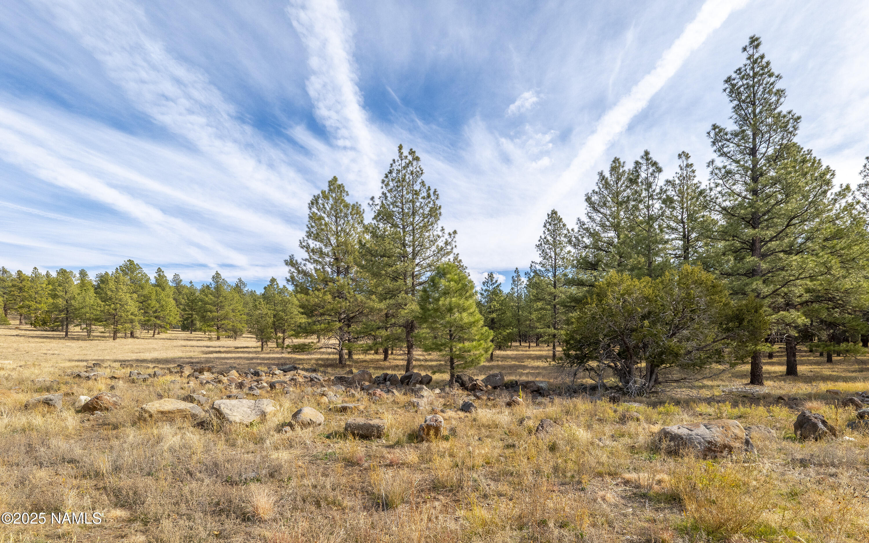 1909 N Turquoise Drive