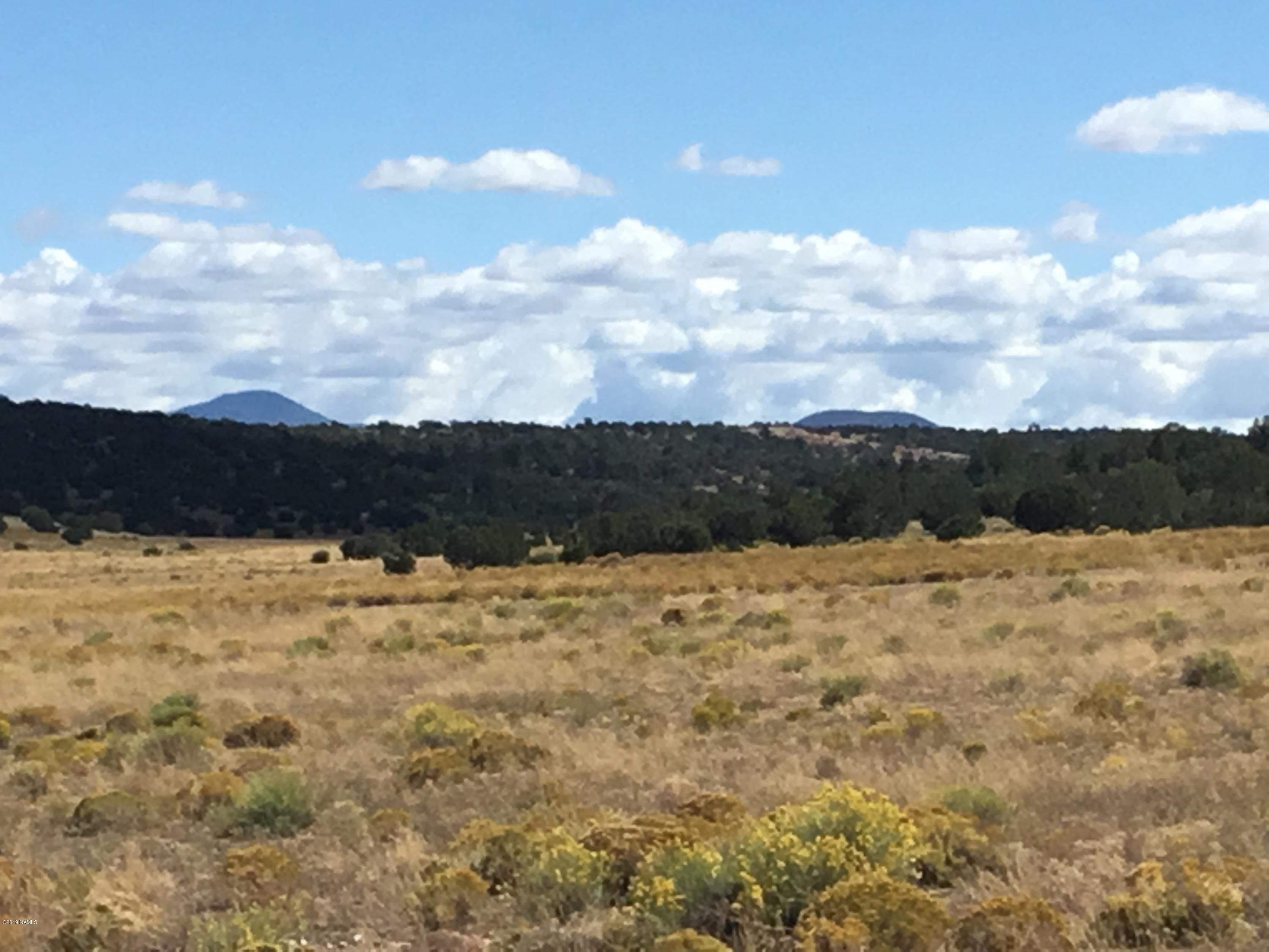 6708 W Wild Honey Lot A - 10 Ac