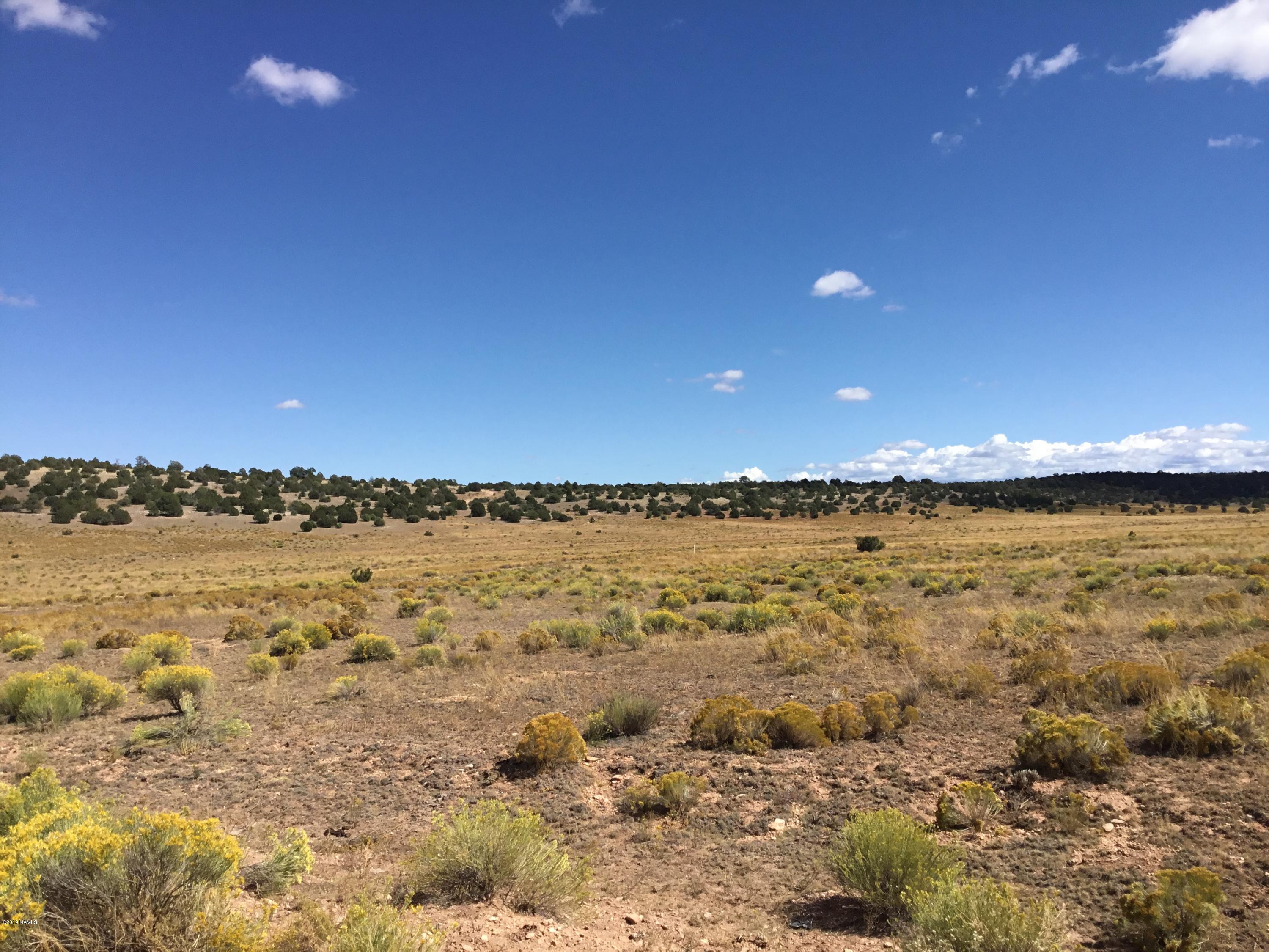 6708 W Wild Honey Lot A - 10 Ac