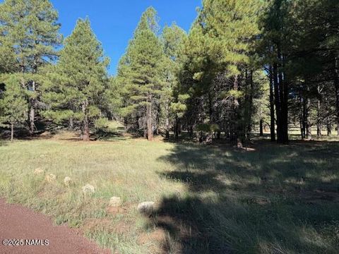 Photo of Flagstaff, AZ 86005 (MLS # 202276)