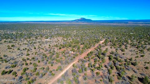 Photo of Williams, AZ 86046 (MLS # 202658)