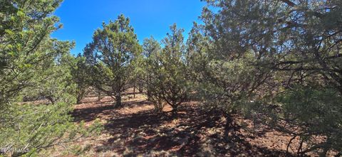 Photo of Williams, AZ 86046 (MLS # 201968)