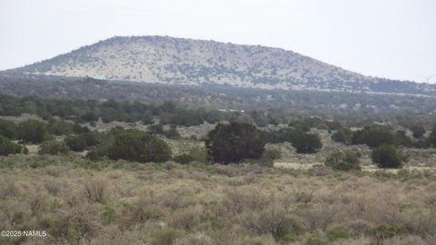 Photo of Williams, AZ 86046 (MLS # 204961)