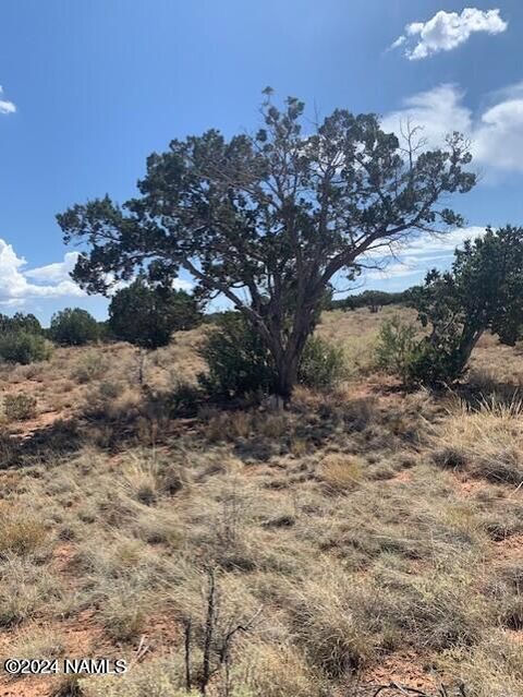Photo of Williams, AZ 86046 (MLS # 203098)