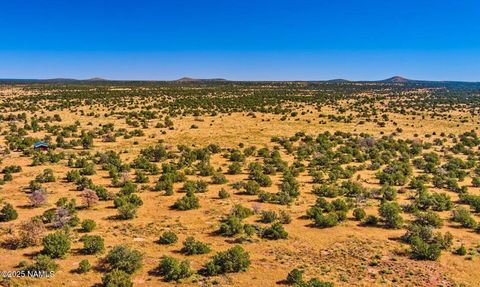 Photo of Williams, AZ 86046 (MLS # 203279)