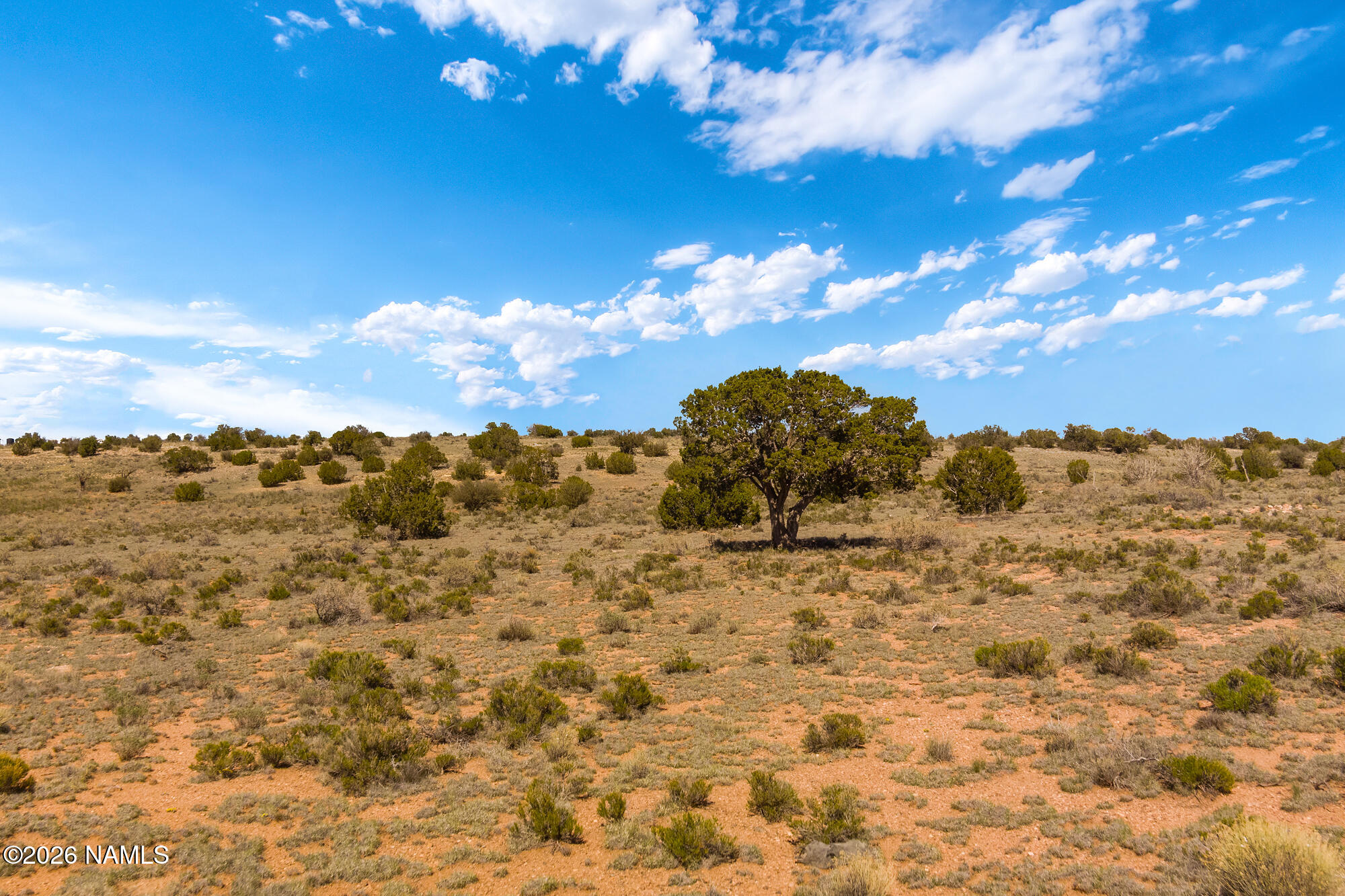 915 E Pine Road 5 Lots