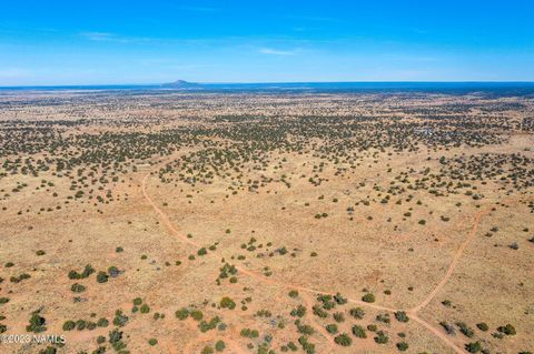 Photo of Williams, AZ 86046 (MLS # 203276)