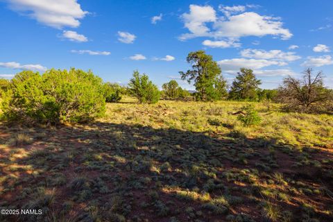 Photo of Williams, AZ 86046 (MLS # 200647)