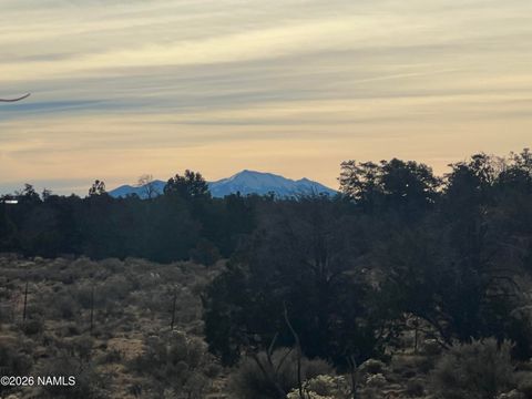 Photo of Williams, AZ 86046 (MLS # 203025)